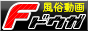 F動画